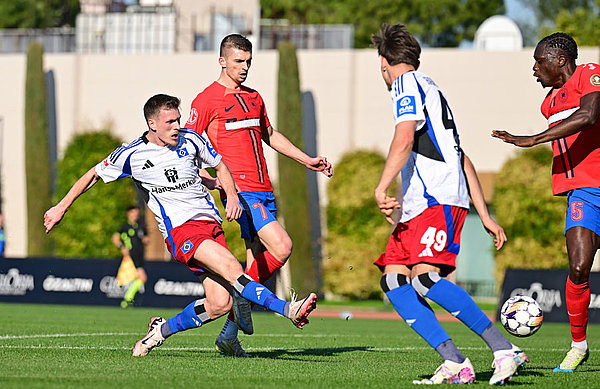 Emir Sahiti gave HSV the lead with a lovely solo goal.