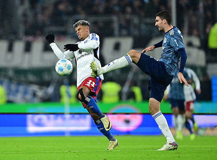 2:2 - HSV und Schalke trennen sich remis